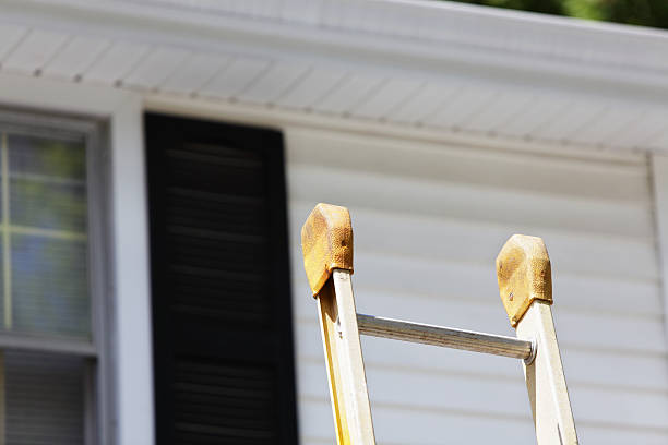 Best Carpet Removal and Disposal  in Elizabethtown, PA